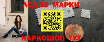 a pvp Обь