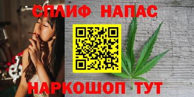 a pvp Обь